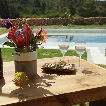 Stellar Overberg Travellers Lodge Napier Kültér fotó