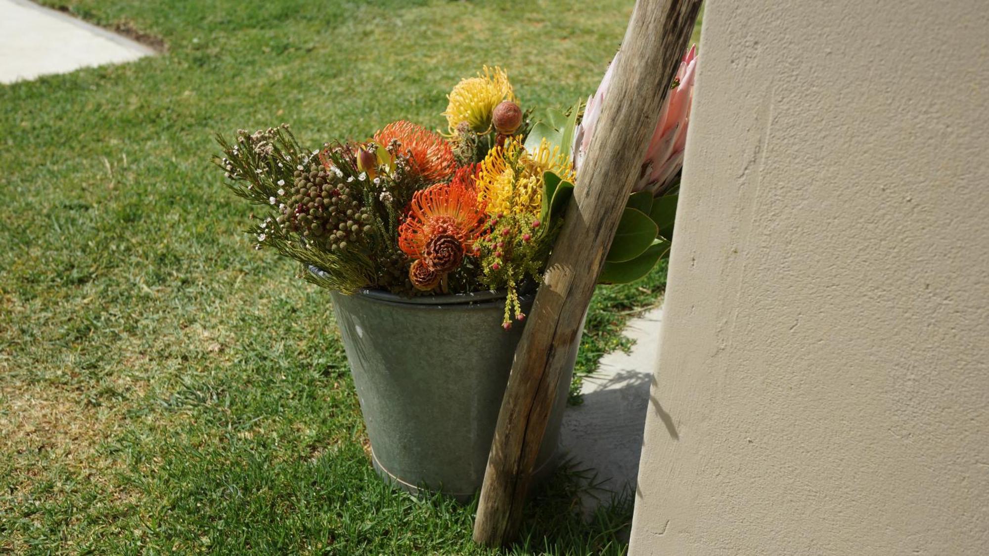 Stellar Overberg Travellers Lodge Napier Kültér fotó