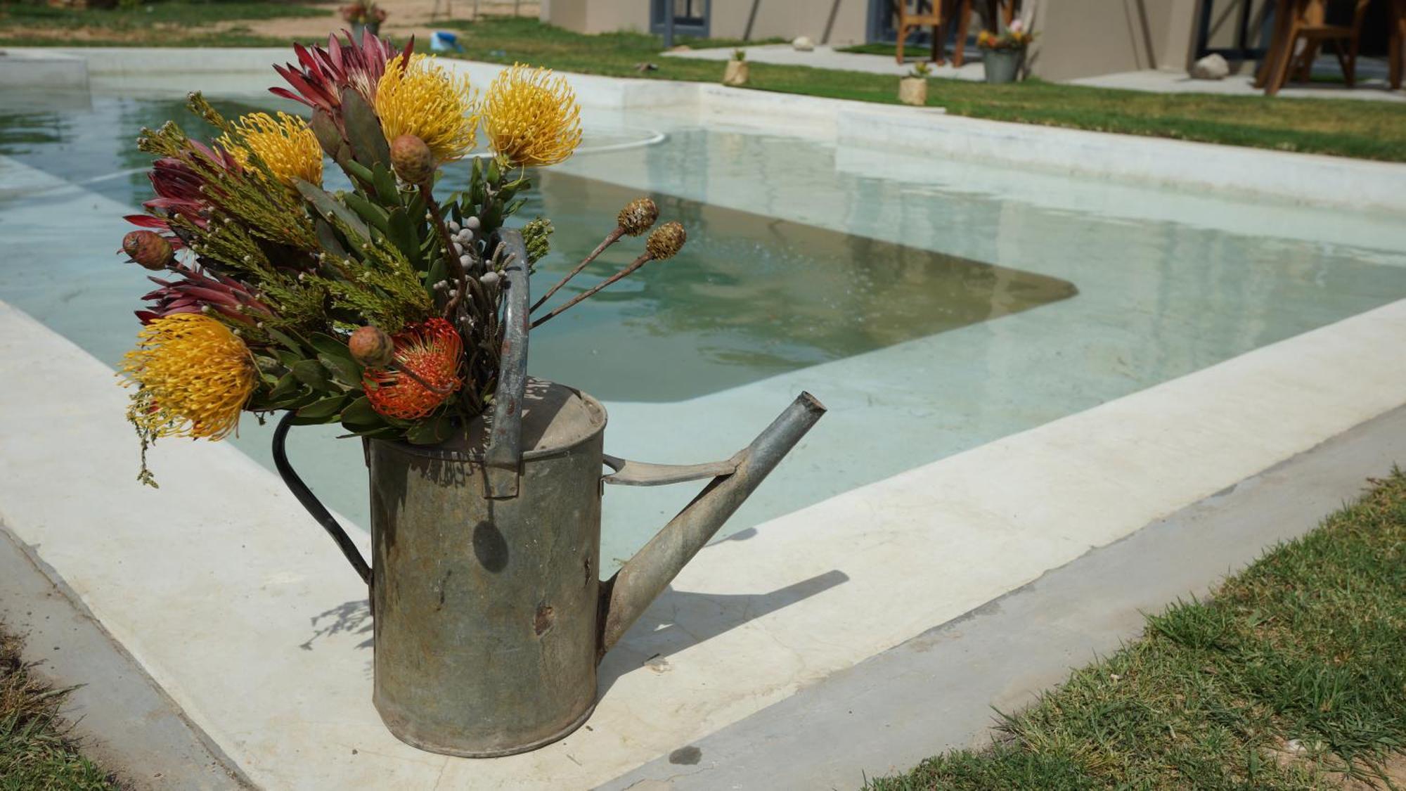 Stellar Overberg Travellers Lodge Napier Kültér fotó