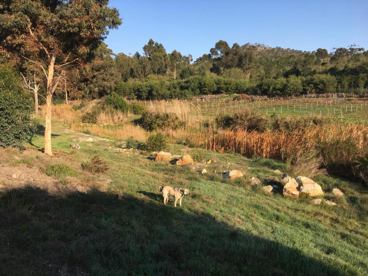 Stellar Overberg Travellers Lodge Napier Kültér fotó
