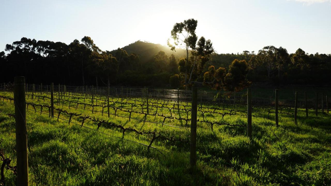 Stellar Overberg Travellers Lodge Napier Kültér fotó