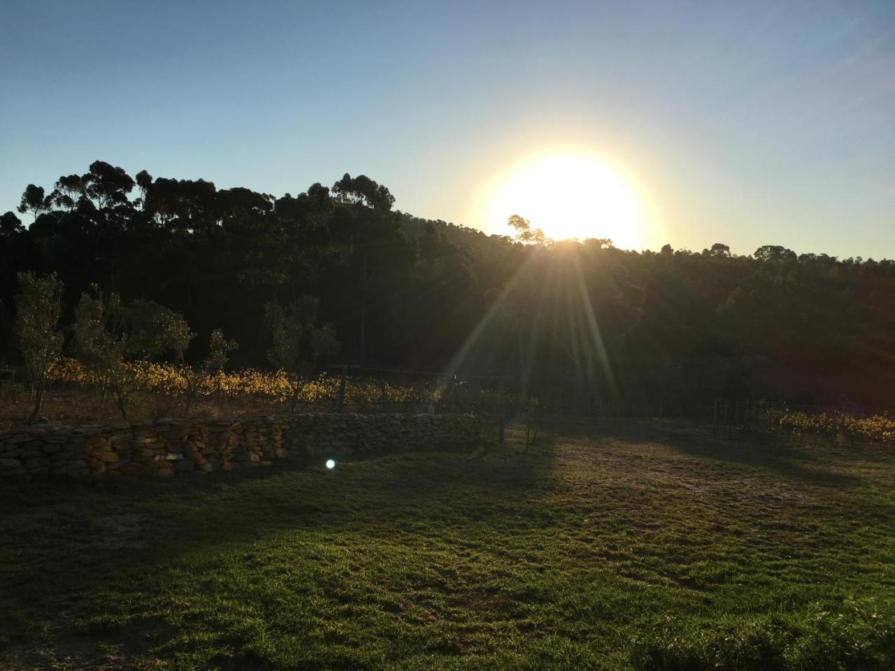 Stellar Overberg Travellers Lodge Napier Kültér fotó