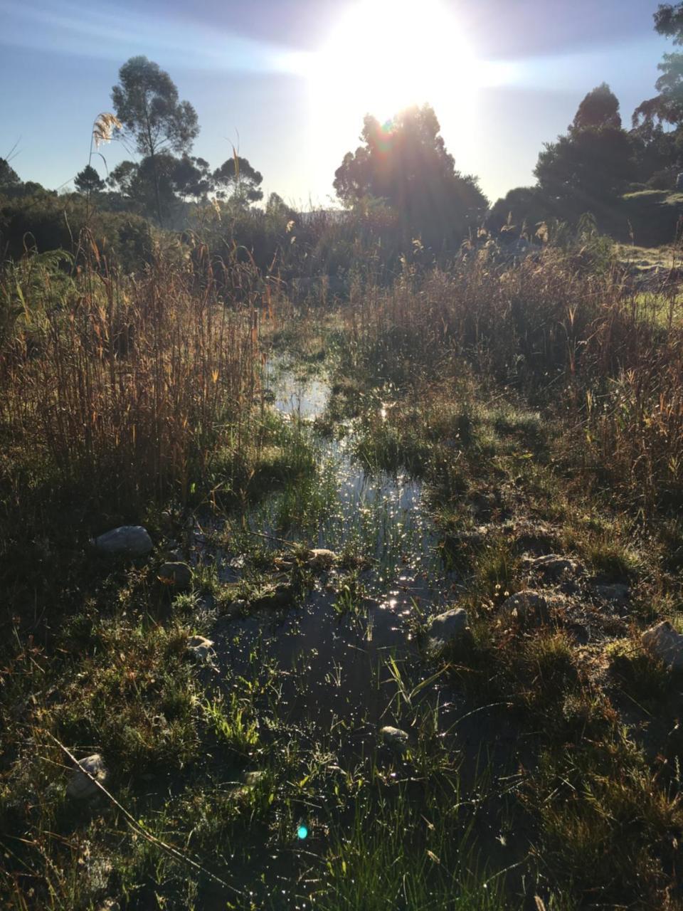 Stellar Overberg Travellers Lodge Napier Kültér fotó