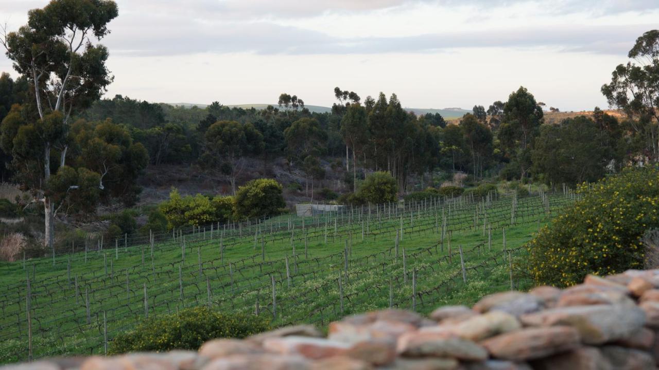 Stellar Overberg Travellers Lodge Napier Kültér fotó